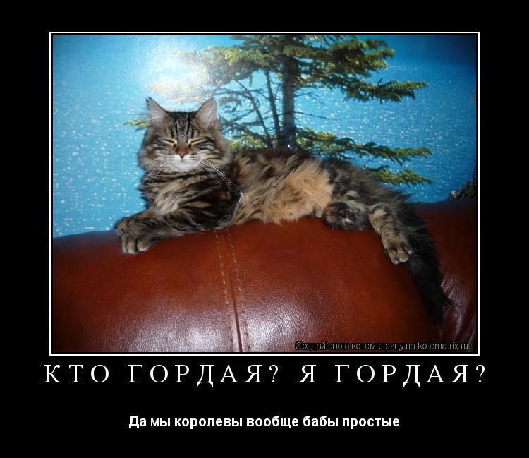 Кто гордая? Я гордая? Да мы королевы вообще бабы простые... Котоматрица: Кто гордая? Я гордая? Да мы королевы вообще бабы простые