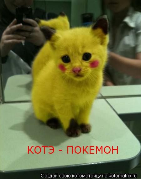 КОТЭ - ПОКЕМОН... Котоматрица: КОТЭ - ПОКЕМОН