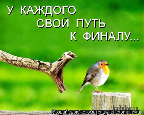 У КАЖДОГО СВОЙ ПУТЬ К ФИНАЛУ...... Котоматрица: У КАЖДОГО СВОЙ ПУТЬ К ФИНАЛУ...