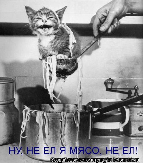 НУ, НЕ ЕЛ Я МЯСО, НЕ ЕЛ!... Котоматрица: НУ, НЕ ЕЛ Я МЯСО, НЕ ЕЛ!