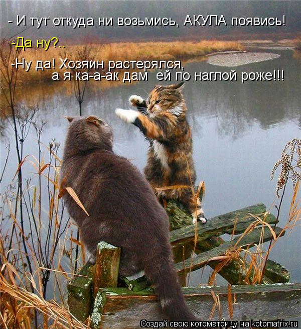 - И тут откуда ни возьмись, АКУЛА появись! -Да ну?.. -Ну да! Хозяин растерялся, а я ка-а-ак дам е... Котоматрица: - И тут откуда ни возьмись, АКУЛА появись! -Да ну?.. -Ну да! Хозяин растерялся, а я ка-а-ак дам ей по наглой роже!!!