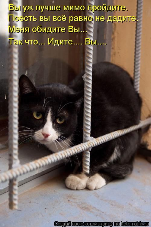 Вы уж лучше мимо пройдите. Поесть вы всё равно не дадите. Меня обидите Вы... Так что... Идите.... Вы.... Котоматрица: Вы уж лучше мимо пройдите. Поесть вы всё равно не дадите. Меня обидите Вы... Так что... Идите.... Вы....