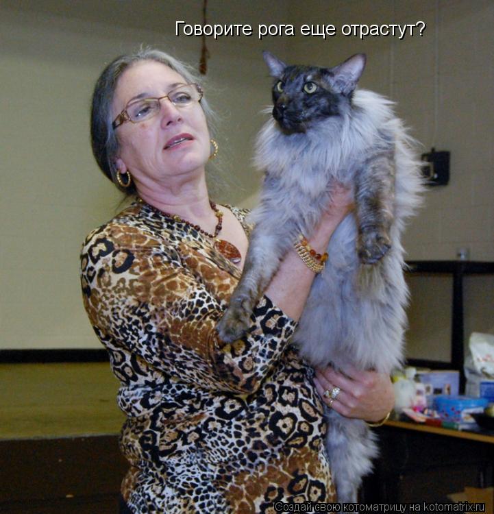 Говорите рога еще отрастут?... Котоматрица: Говорите рога еще отрастут?