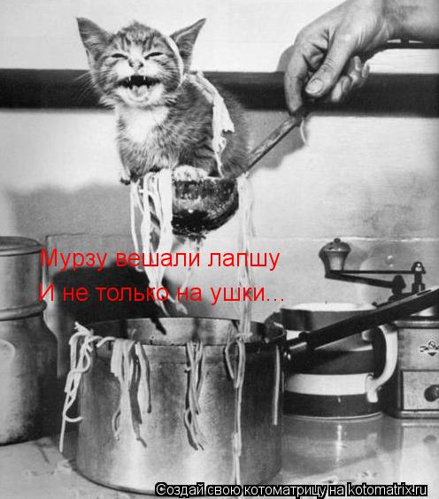 Мурзу вешали лапшу И не только на ушки...... Котоматрица: Мурзу вешали лапшу И не только на ушки...