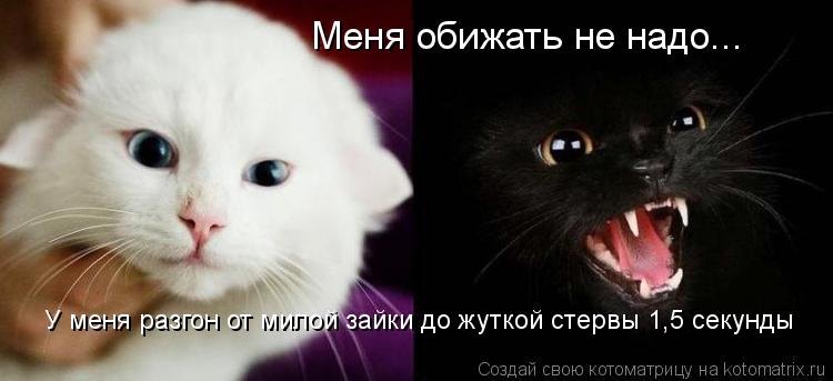 Меня обижать не надо... У меня разгон от милой зайки до жуткой стервы 1,5 секунды... Котоматрица: Меня обижать не надо... У меня разгон от милой зайки до жуткой стервы 1,5 секунды