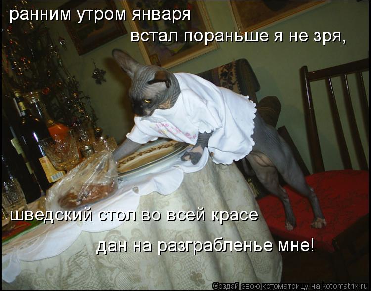 ранним утром января встал пораньше я не зря, шведский стол во всей красе дан на разграбленье мне!... Котоматрица: ранним утром января встал пораньше я не зря, шведский стол во всей красе дан на разграбленье мне!