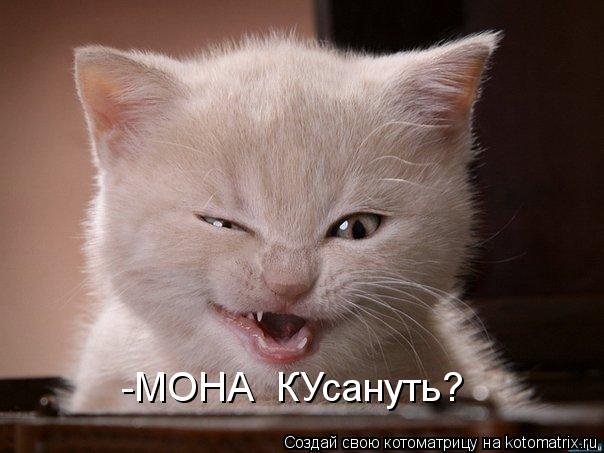 -МОНА КУсануть?... Котоматрица: -МОНА КУсануть?