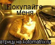 Покупайте меня.... Котоматрица: Покупайте меня.
