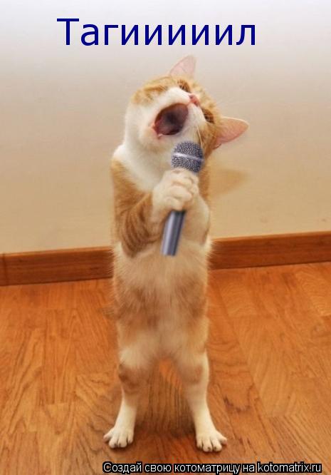 Тагииииил... Котоматрица: Тагииииил