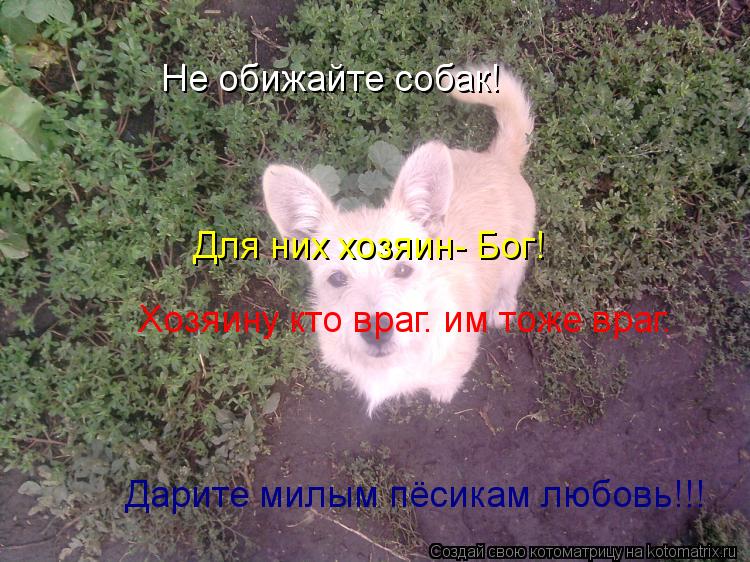 Не обижайте собак! Для них хозяин- Бог! Хозяину кто враг– им тоже враг. Дарите милым пёсикам любовь!!... Котоматрица: Не обижайте собак! Для них хозяин- Бог! Хозяину кто враг– им тоже враг. Дарите милым пёсикам любовь!!!
