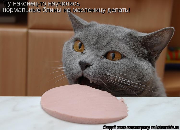 Ну наконец-то научились нормальные блины на масленицу делать!... Котоматрица: Ну наконец-то научились нормальные блины на масленицу делать!