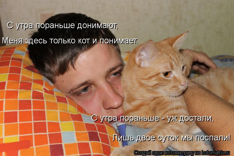 С утра пораньше донимают, Меня здесь только кот и понимает. С утра пораньше - уж достали, Лишь двое с... Котоматрица: С утра пораньше донимают, Меня здесь только кот и понимает. С утра пораньше - уж достали, Лишь двое суток мы поспали!