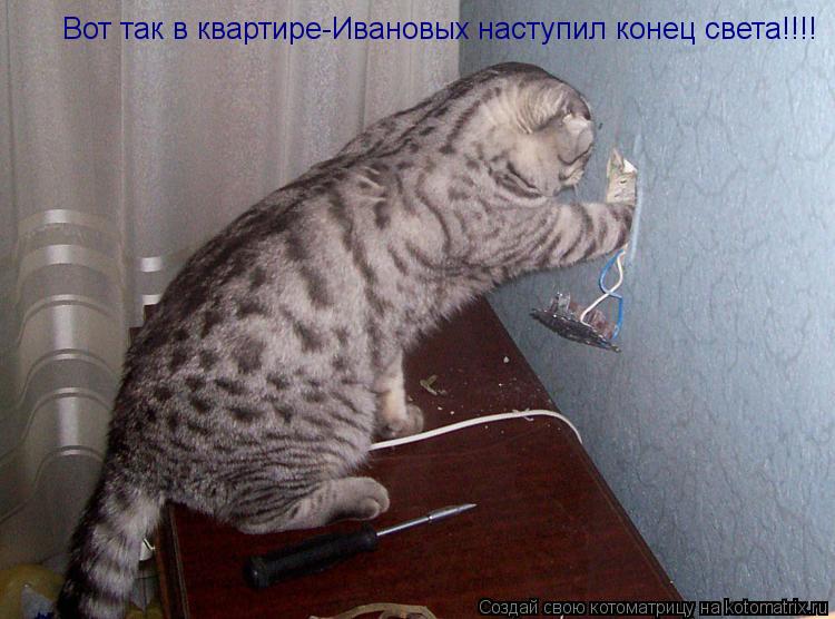 Вот так в квартире -И Вот так в квартире-Ивановых наступил конец света!!!!... Котоматрица: Вот так в квартире -И Вот так в квартире-Ивановых наступил конец света!!!!