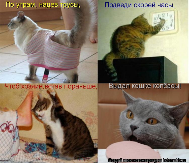 По утрам, надев трусы, Подведи скорей часы, Чтоб хозяин,встав пораньше, Выдал кошке колбасы!... Котоматрица: По утрам, надев трусы, Подведи скорей часы, Чтоб хозяин,встав пораньше, Выдал кошке колбасы!