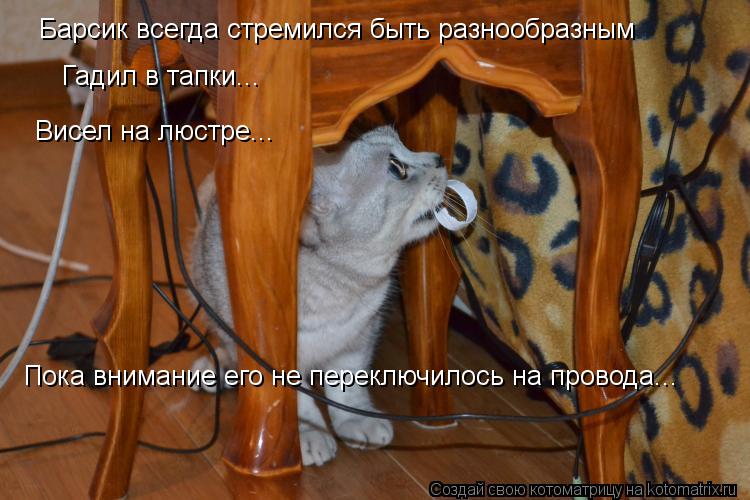 Котоматрица: Барсик всегда стремился быть разнообразным Гадил в тапки... Висел на люстре... Пока внимание его не переключилось на провода...