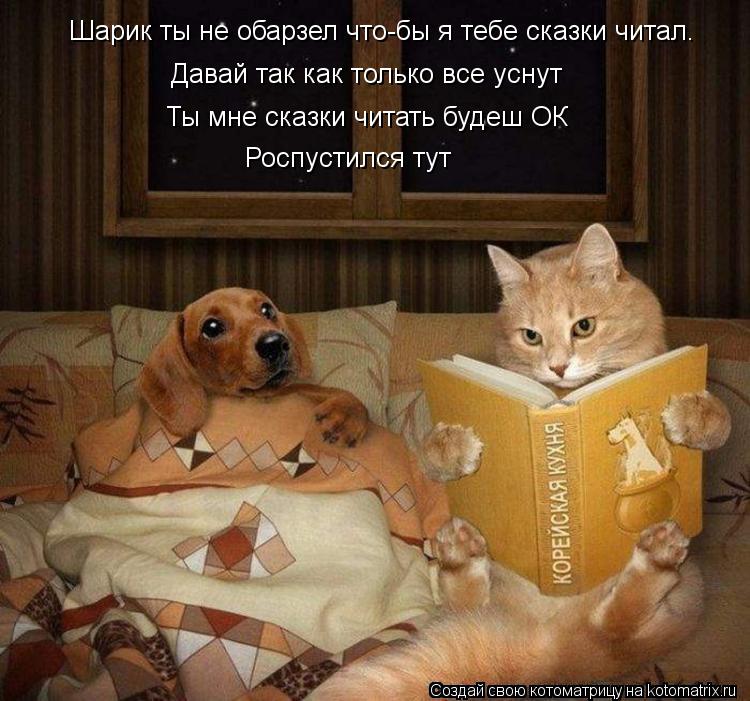 Шарик ты не обарзел что-бы я тебе сказки читал. Давай так как только все уснут Ты мне сказки читать б... Котоматрица: Шарик ты не обарзел что-бы я тебе сказки читал. Давай так как только все уснут Ты мне сказки читать будеш ОК Роспустился тут