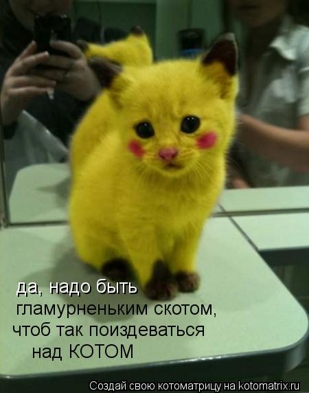 да, надо быть гламурненьким скотом, чтоб так поиздеваться над КОТОМ... Котоматрица: да, надо быть гламурненьким скотом, чтоб так поиздеваться над КОТОМ