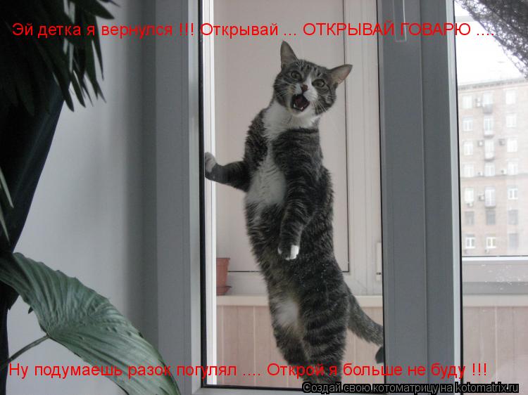 Эй детка я вернулся !!! Открывай ... ОТКРЫВАЙ ГОВАРЮ .... Ну подумаешь разок погулял .... Открой я бо... Котоматрица: Эй детка я вернулся !!! Открывай ... ОТКРЫВАЙ ГОВАРЮ .... Ну подумаешь разок погулял .... Открой я больше не буду !!!