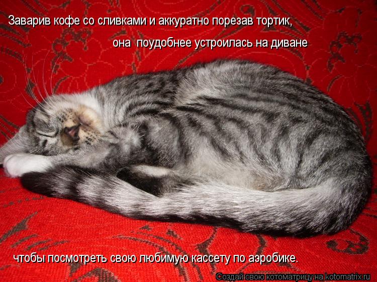 Заварив кофе со сливками и аккуратно порезав тортик, она поудобнее устроилась на диване чтобы посмот... Котоматрица: Заварив кофе со сливками и аккуратно порезав тортик, она поудобнее устроилась на диване чтобы посмотреть свою любимую кассету по аэробике