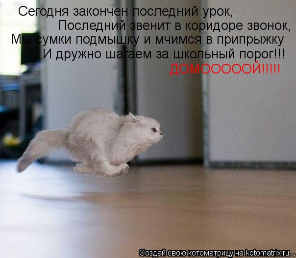 Сегодня закончен последний урок, Последний звенит в коридоре звонок, Мы сумки подмышку и мчимся в при... Котоматрица: Сегодня закончен последний урок, Последний звенит в коридоре звонок, Мы сумки подмышку и мчимся в припрыжку И дружно шагаем за школьный пор