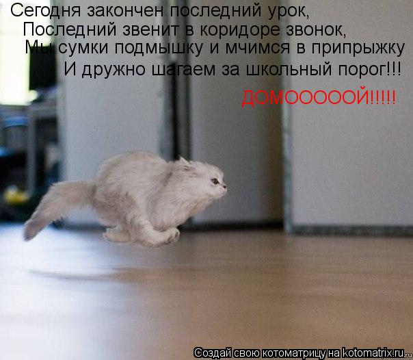 Сегодня закончен последний урок, Последний звенит в коридоре звонок, Мы сумки подмышку и мчимся в при... Котоматрица: Сегодня закончен последний урок, Последний звенит в коридоре звонок, Мы сумки подмышку и мчимся в припрыжку И дружно шагаем за школьный пор