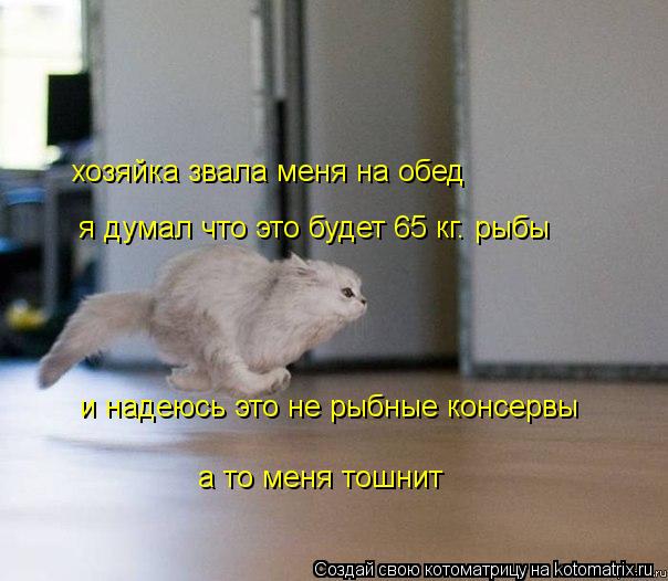 хозяйка звала меня на обед я думал что это будет 65 кг. рыбы и надеюсь это не рыбные консервы а то ... Котоматрица: хозяйка звала меня на обед я думал что это будет 65 кг. рыбы и надеюсь это не рыбные консервы а то меня тошнит