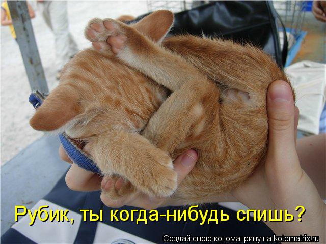 Котоматрица: Рубик, ты когда-нибудь спишь?