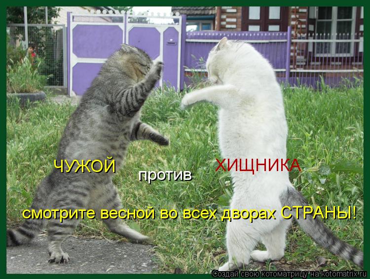 против ХИЩНИКА ЧУЖОЙ смотрите весной во всех дворах СТРАНЫ!... Котоматрица: против ХИЩНИКА ЧУЖОЙ смотрите весной во всех дворах СТРАНЫ!