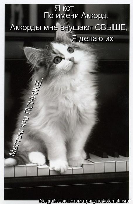 Я кот По имени Аккорд. Аккорды мне внушают СВЫШЕ, Я делаю их Местом что ПОНИЖЕ...... Котоматрица: Я кот По имени Аккорд. Аккорды мне внушают СВЫШЕ, Я делаю их Местом что ПОНИЖЕ...