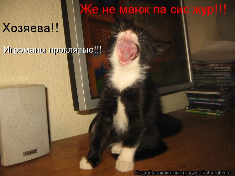 Же не манж па сис жур!!! Игроманы проклятые!!! Хозяева!!... Котоматрица: Же не манж па сис жур!!! Игроманы проклятые!!! Хозяева!!