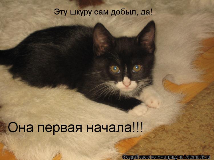 Эту шкуру сам добыл, да! Она первая начала!!!... Котоматрица: Эту шкуру сам добыл, да! Она первая начала!!!