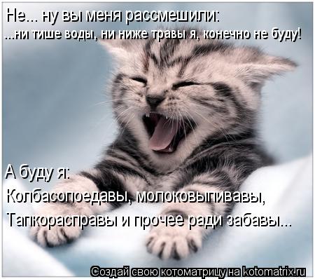Не... ну вы меня рассмешили: ...ни тише воды, ни ниже травы я, конечно не буду! А буду я: Колбасопо... Котоматрица: Не... ну вы меня рассмешили: ...ни тише воды, ни ниже травы я, конечно не буду! А буду я: Колбасопоедавы, молоковыпивавы, Тапкорасправы и прочее