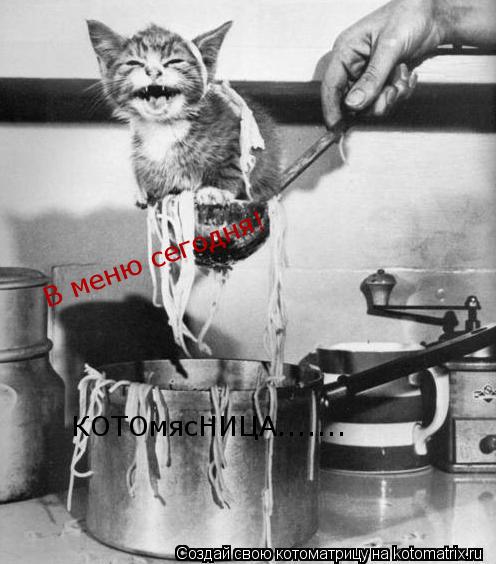 В меню сегодня! КОТОмясНИЦА.......... Котоматрица: В меню сегодня! КОТОмясНИЦА.......