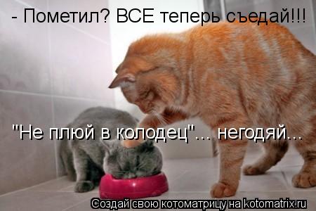 - Пометил? ВСЕ теперь съедай!!! "Не плюй в колодец"... негодяй...... Котоматрица: - Пометил? ВСЕ теперь съедай!!! "Не плюй в колодец"... негодяй...