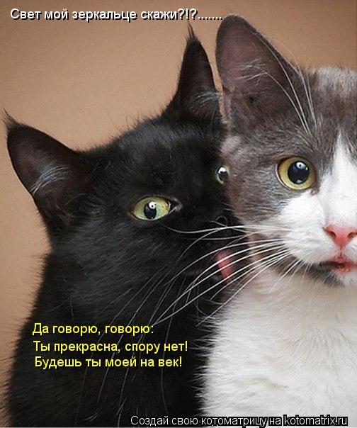 Свет мой зеркальце скажи?!?....... Да говорю, говорю: Ты прекрасна, спору нет! Будешь ты моей на век!... Котоматрица: Свет мой зеркальце скажи?!?....... Да говорю, говорю: Ты прекрасна, спору нет! Будешь ты моей на век!