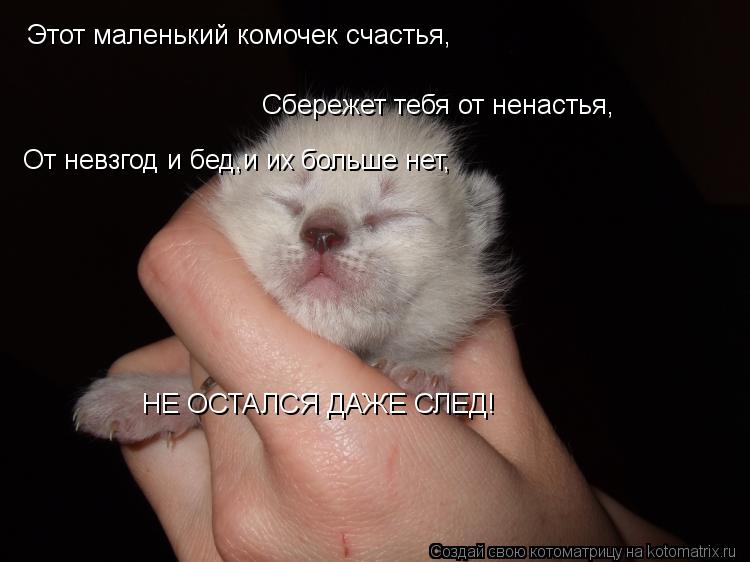 Этот маленький комочек счастья, Сбережет тебя от ненастья, От невзгод и бед,и их больше нет, НЕ ОСТАЛ... Котоматрица: Этот маленький комочек счастья, Сбережет тебя от ненастья, От невзгод и бед,и их больше нет, НЕ ОСТАЛСЯ ДАЖЕ СЛЕД!