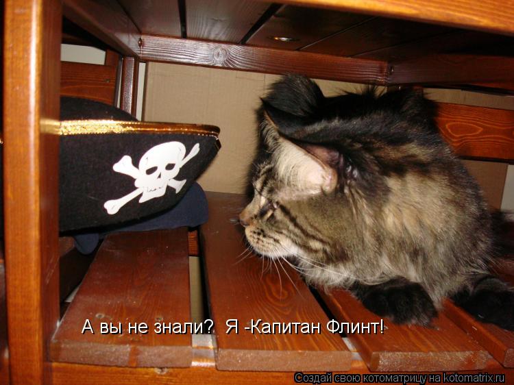 А вы не знали? Я -Капитан Флинт!... Котоматрица: А вы не знали? Я -Капитан Флинт!