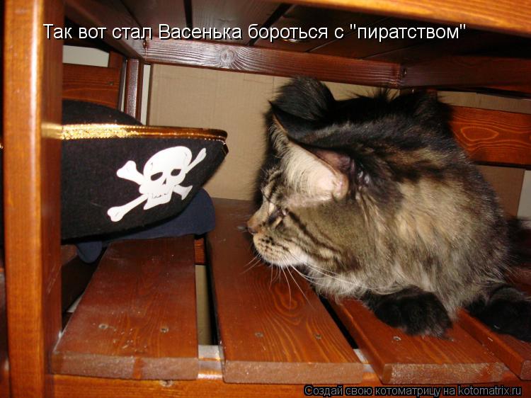 Так вот стал Васенька бороться с "пиратством"... Котоматрица: Так вот стал Васенька бороться с "пиратством"