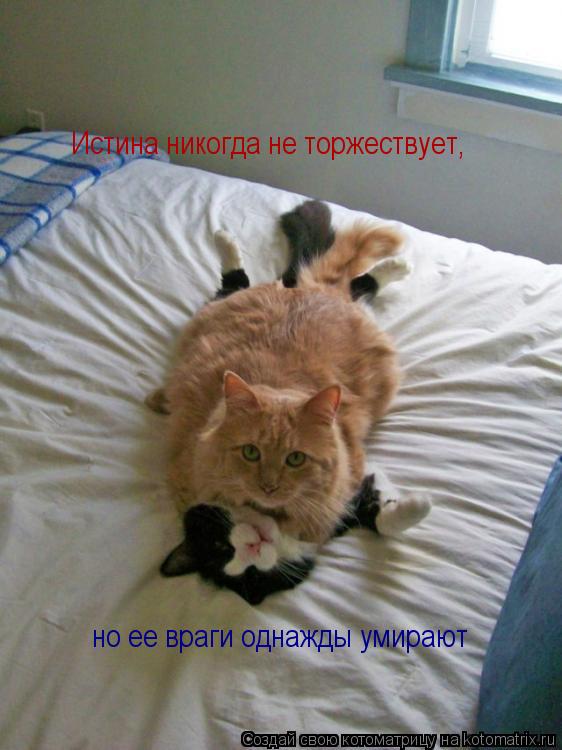 Истина никогда не торжествует, но ее враги однажды умирают... Котоматрица: Истина никогда не торжествует, но ее враги однажды умирают