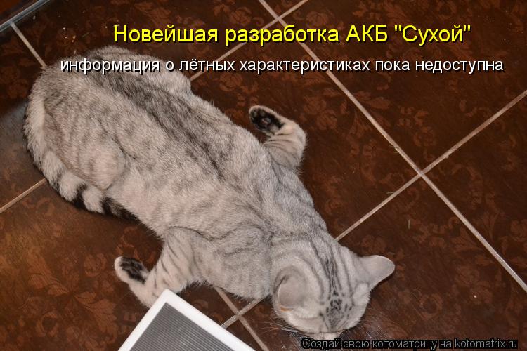 Новейшая разработка АКБ "Сухой" информация о лётных характеристиках пока недоступна... Котоматрица: Новейшая разработка АКБ "Сухой" информация о лётных характеристиках пока недоступна