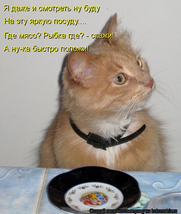 Я даже и смотреть ну буду На эту яркую посуду.... Где мясо? Рыбка где? - скажи! А ну-ка быстро положи... Котоматрица: Я даже и смотреть ну буду На эту яркую посуду.... Где мясо? Рыбка где? - скажи! А ну-ка быстро положи!