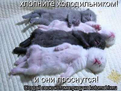 Котоматрица: хлопните холодильником! и они проснутся!  и они проснутся!