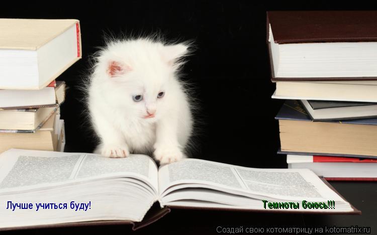 Котоматрица: Лучше учиться буду! Темноты боюсь!!!