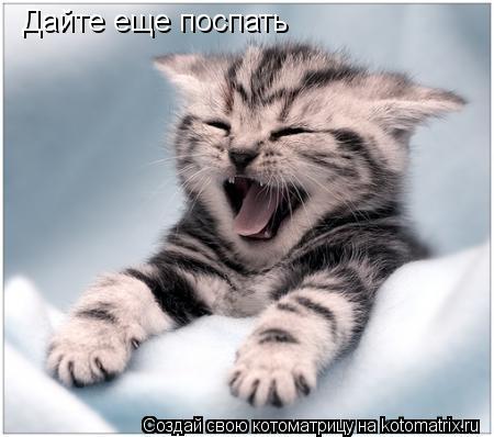 Дайте еще поспать... Котоматрица: Дайте еще поспать