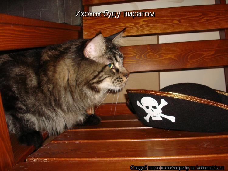 Ихохох буду пиратом... Котоматрица: Ихохох буду пиратом