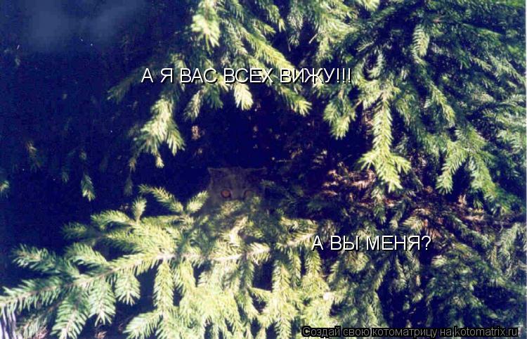 А Я ВАС ВСЕХ ВИЖУ!!! А ВЫ МЕНЯ?... Котоматрица: А Я ВАС ВСЕХ ВИЖУ!!! А ВЫ МЕНЯ?