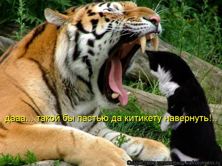 дааа... такой бы пастью да китикету навернуть!..... Котоматрица: дааа... такой бы пастью да китикету навернуть!..