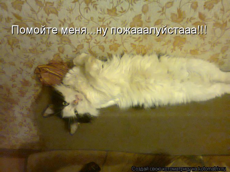 Котоматрица: Помойте меня...ну пожааалуйстааа!!!
