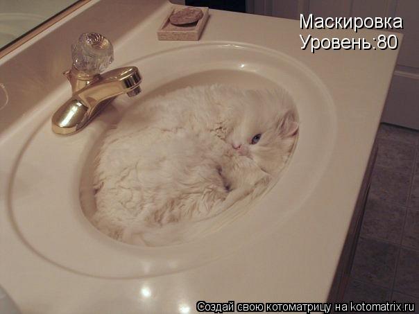 Котоматрица: Маскировка  Маскировка  Уровень:80