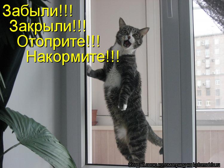 Котоматрица: Забыли!!! Закрыли!!! Отоприте!!! Накормите!!!